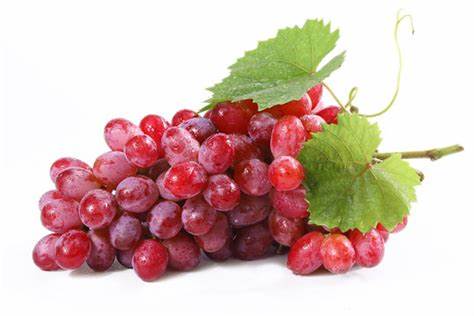 礼元红、克伦生